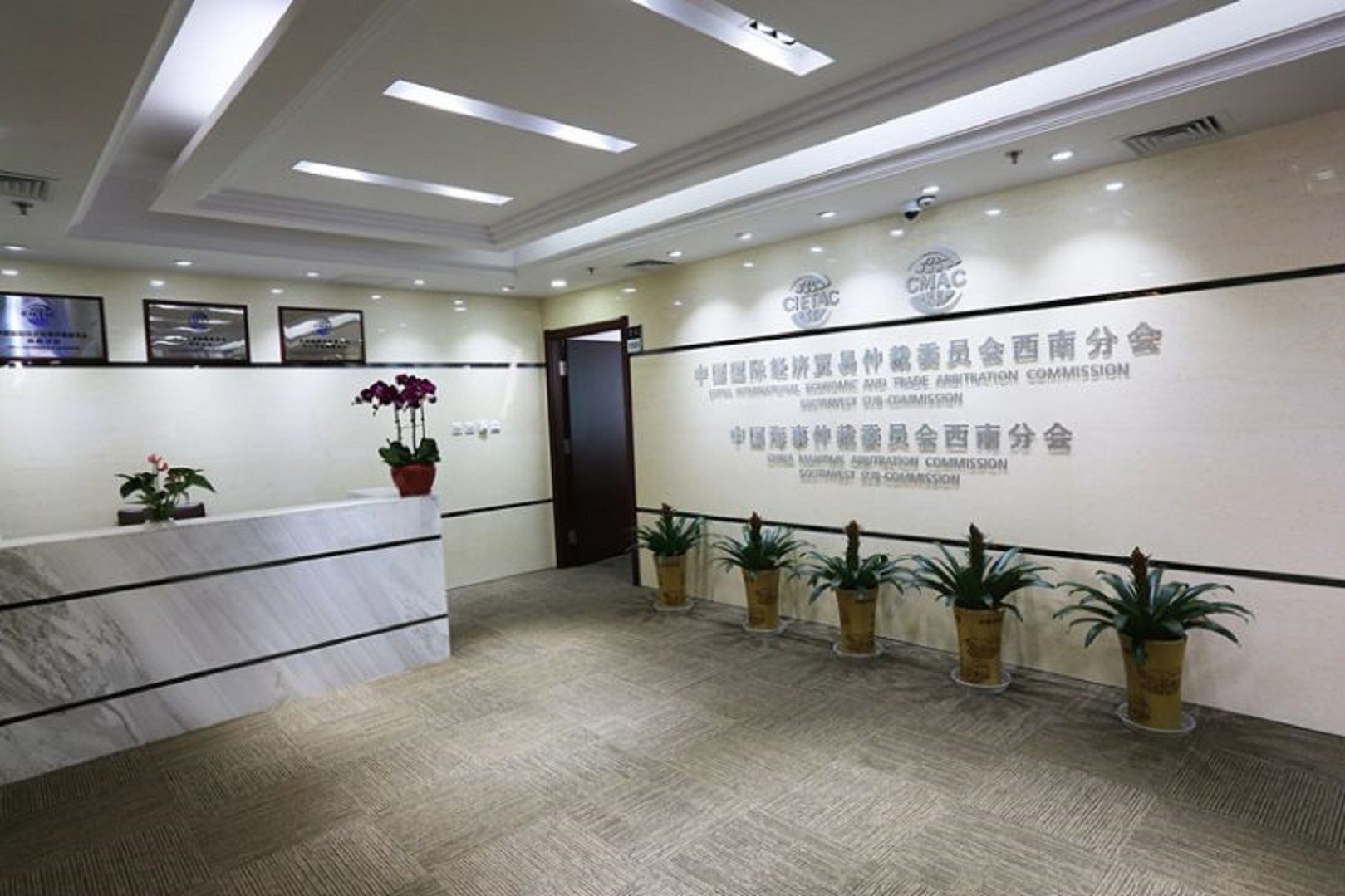 西南分会-768x512.jpg